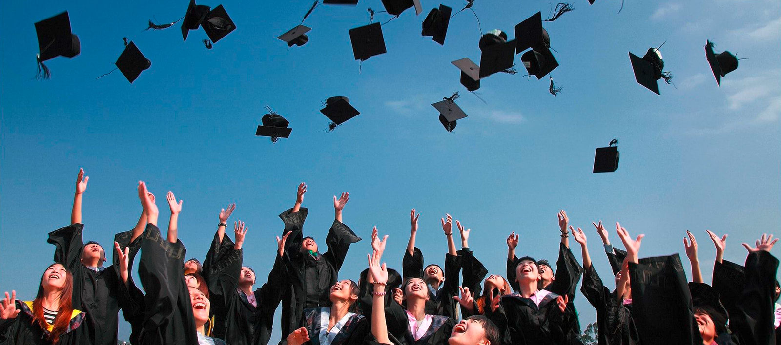 bims_header_Hochschule